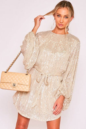 Sutton Sequin Dress