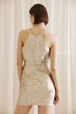 Hania Metallic Dress